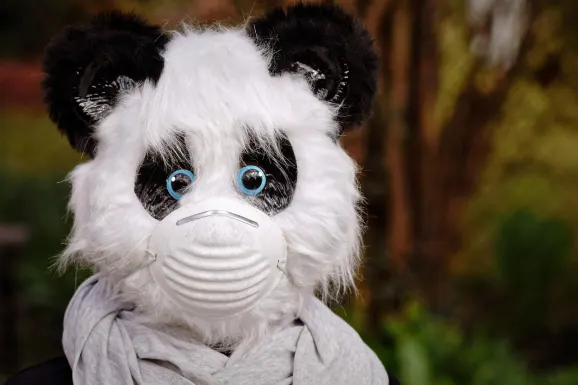 Thunderbolt Casino Tacaíocht